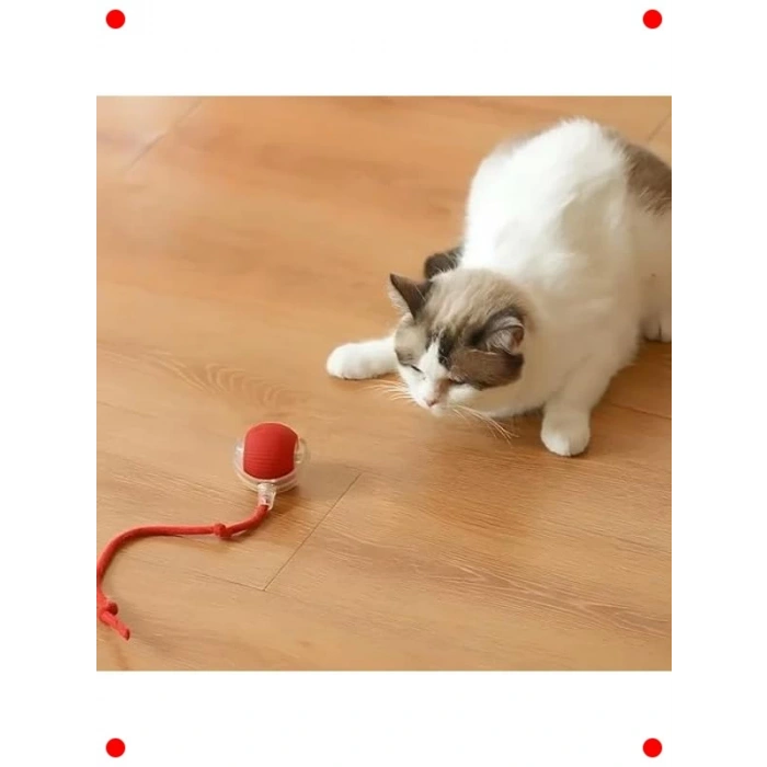 Akıllı LED Işıklı Evcil Hayvan Fare Oyuncağı