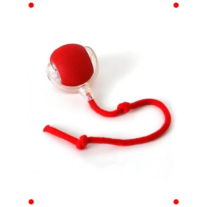 Akıllı LED Işıklı Evcil Hayvan Fare Oyuncağı