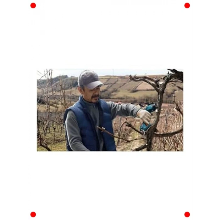 Akülü Bahçe Budama Makası (25 mm Kesim)