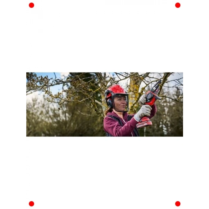 Akülü Dal Budama Testeresi Seti - 12.5 cm Kesim