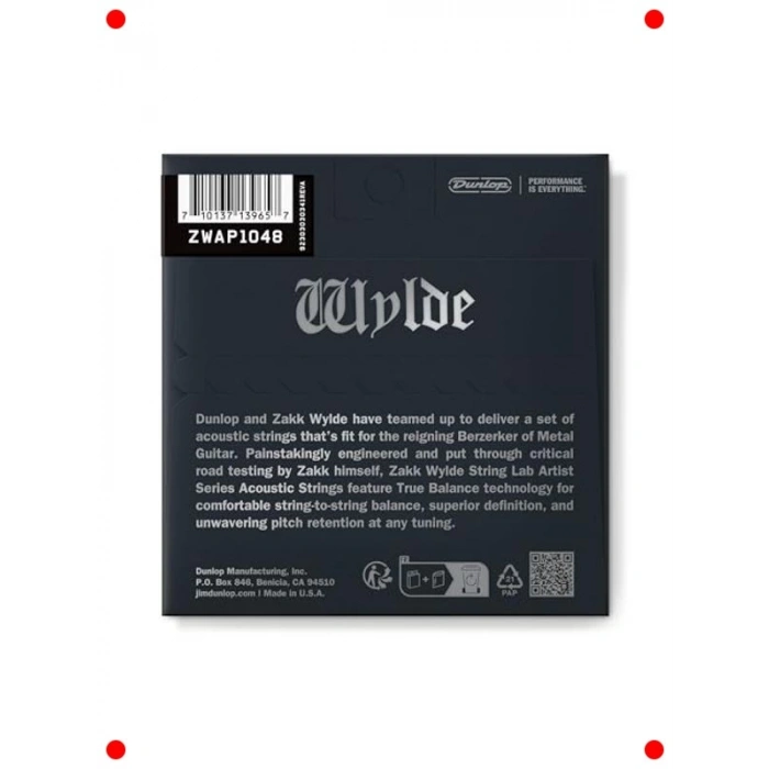 Akustik Gitar Teli Seti (10-48)