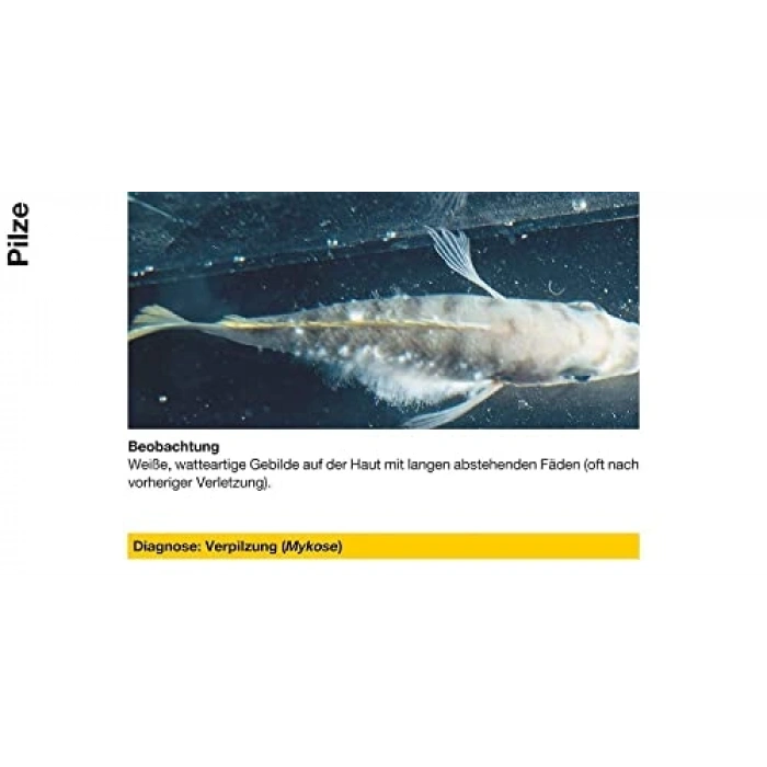 Akvaryum Dış Parazit İlaç 50 ml