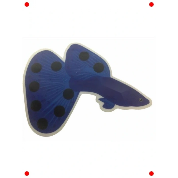 Akvaryum Yapışkan Termometre (Balık Tasarımlı)