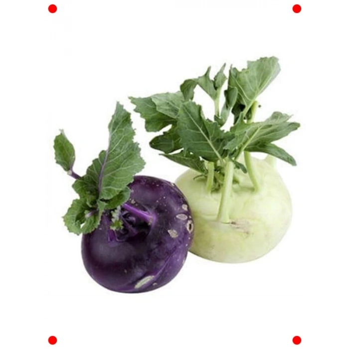 Alabaş Kolhrabi Tohumu - Çıtır ve Farklı Lezzet