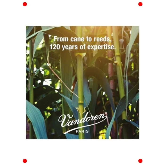 Alto Saksafon Kamışı - Güçlü Ses, 1.5 Sertlik (10lu)