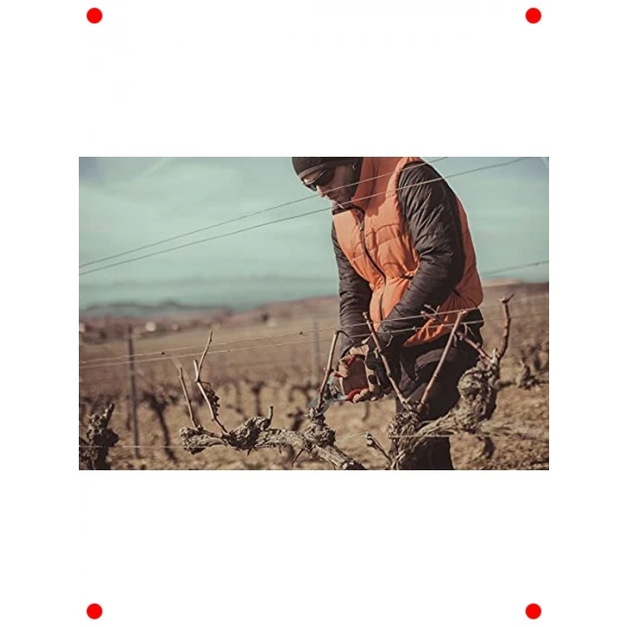 Alüminyum Saplı Budama Makası - 35mm Dal Kesme Kapasitesi