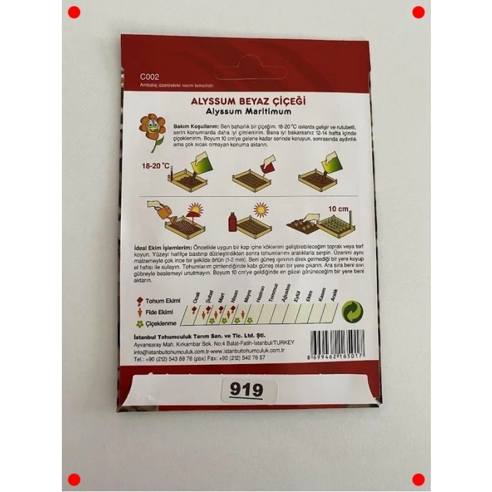 Alyssum Beyaz Renk Tohumları - 250 Adet