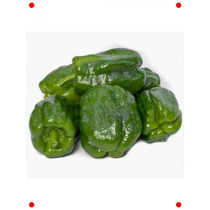 Antep Acı Dolmalık Biber Tohumu - Yöresel Lezzet