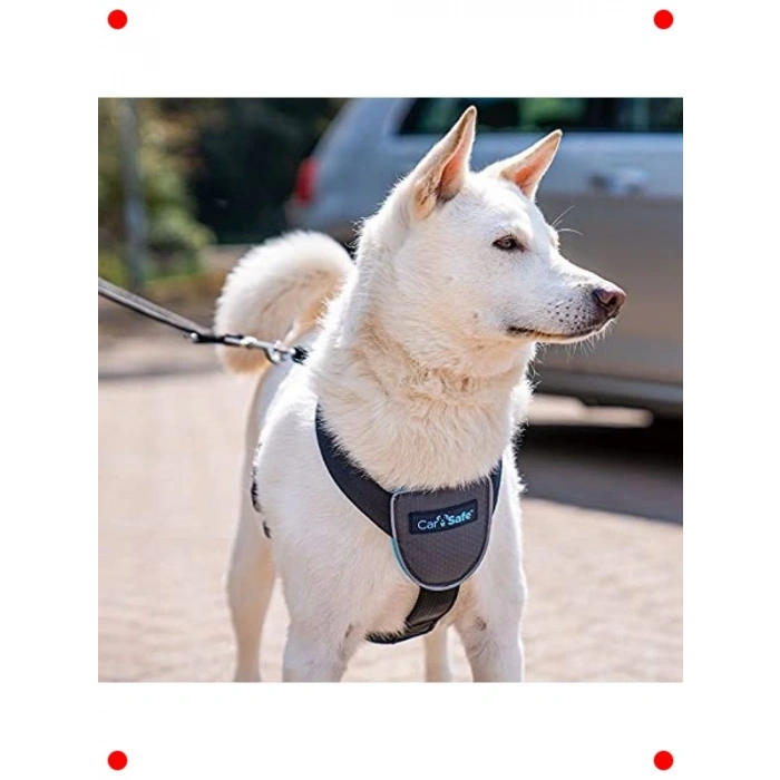 Araba Seyahat Köpek Göğüs Tasması Orta Boy Siyah