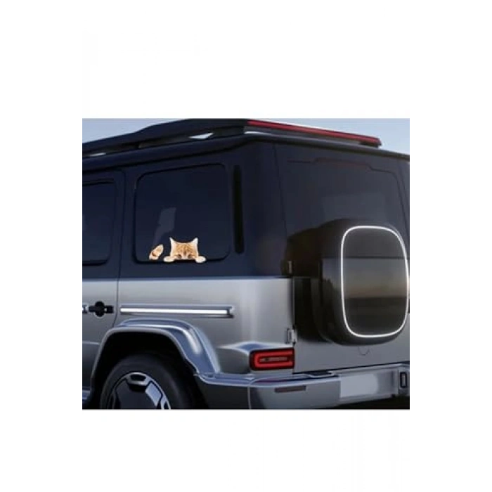Araba Sticker, Dışarı Bakan Sarman Kedi Tasarımı