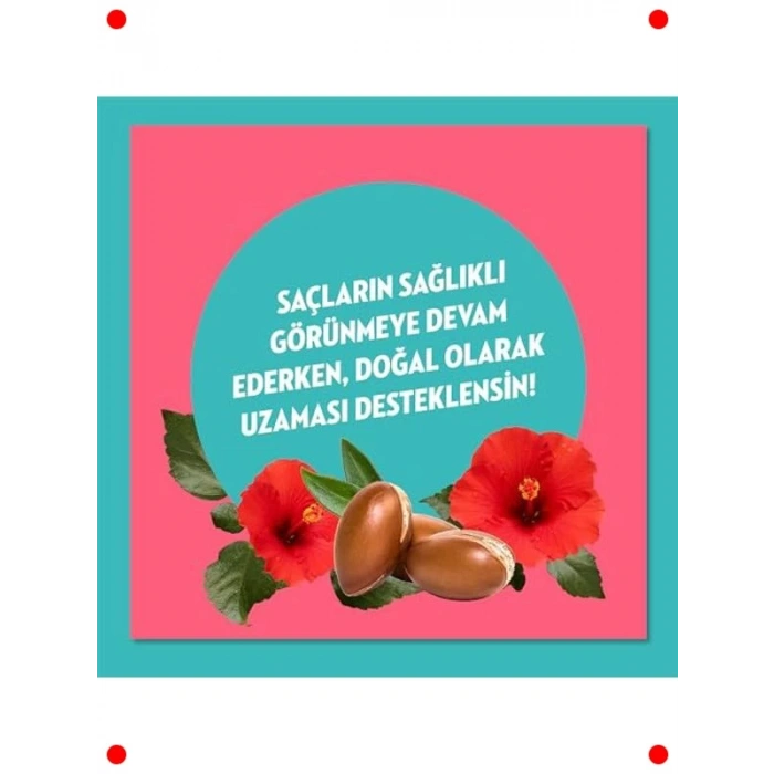 Argan & Hibiskus Dökülme Karşıtı Şampuan (400ml)