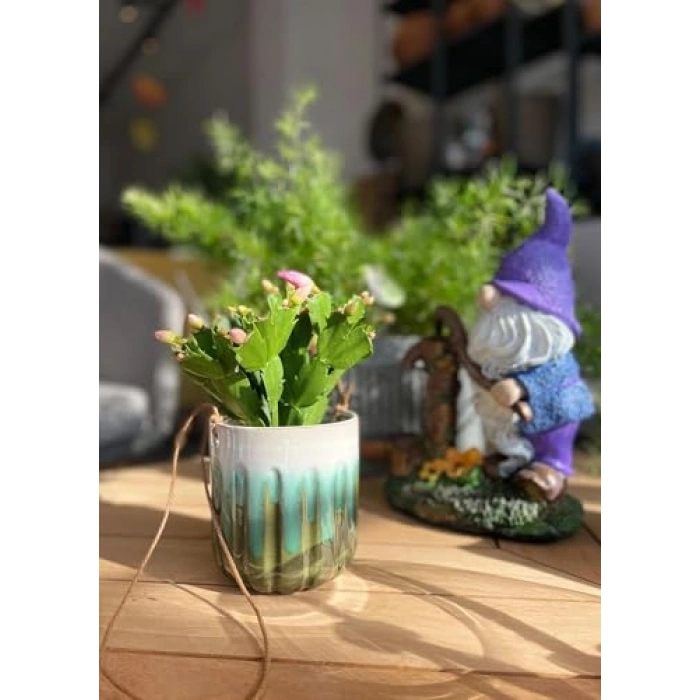 Askılı Serak Saksı 7 cm Çap, 8 cm Yükseklik