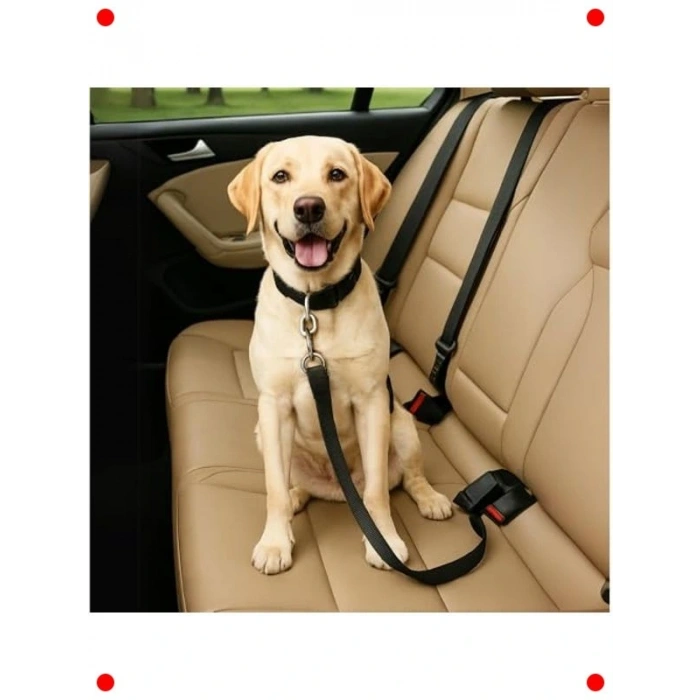 Ayarlanabilir Evcil Hayvan Araç Emniyet Kemeri