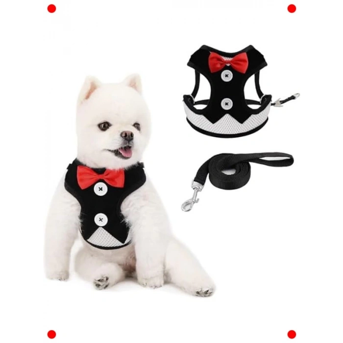 Ayarlanabilir Fiyonklu Köpek Yelek Koşum ve Tasma Seti