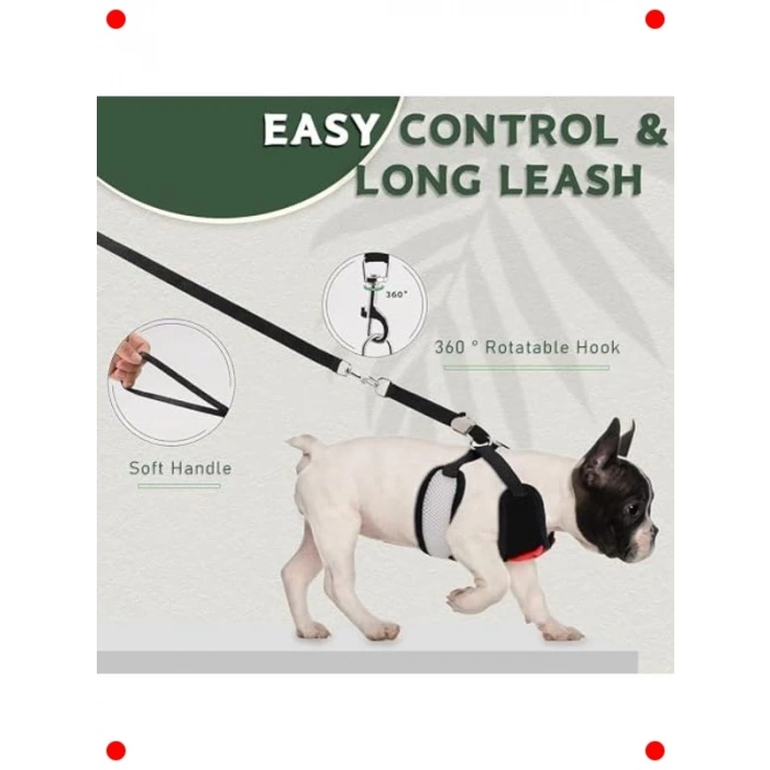 Ayarlanabilir Fiyonklu Köpek Yelek Koşum ve Tasma Seti