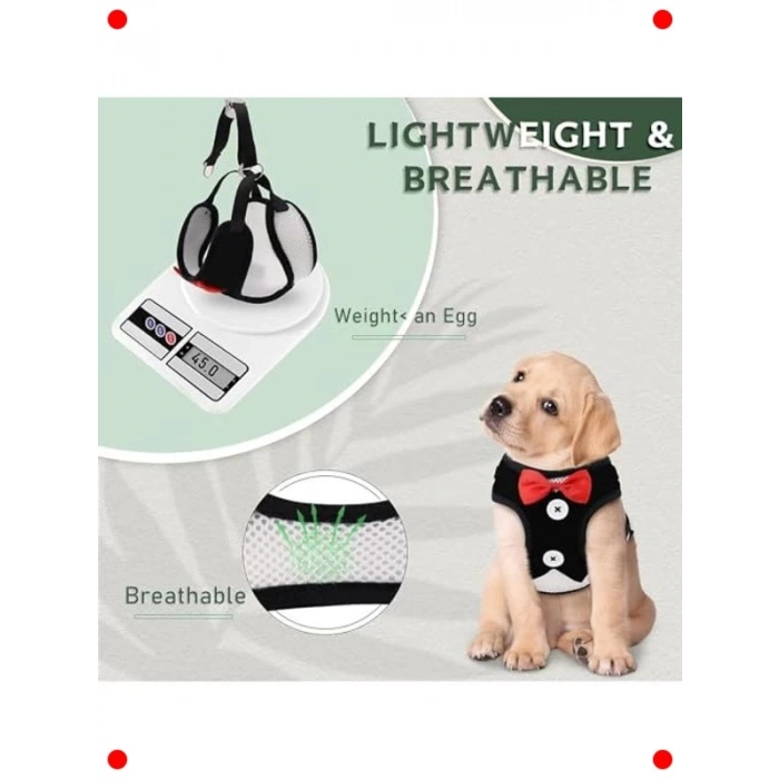 Ayarlanabilir Fiyonklu Köpek Yelek Koşum ve Tasma Seti