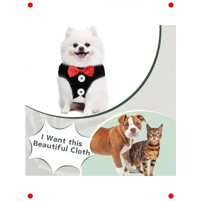 Ayarlanabilir Fiyonklu Köpek Yelek Koşum ve Tasma Seti