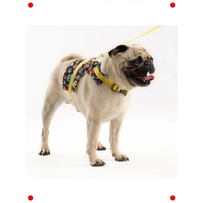 Ayarlanabilir Kaçış Önleyici Köpek Göğüs Tasması + İp (M)