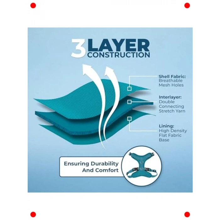 Ayarlanabilir Kedi Tasması & Gezdirme Seti - Turkuaz