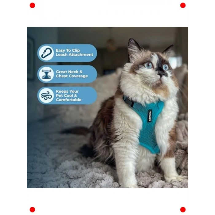 Ayarlanabilir Kedi Tasması & Gezdirme Seti - Turkuaz