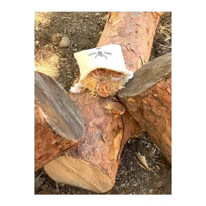 Ayarlanabilir Zoom Özellikli Kafa Lambası, Üç Modlu Işık