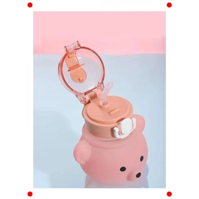 Ayıcık Model Öğrenci Suluk - 800ml BPA İçermez