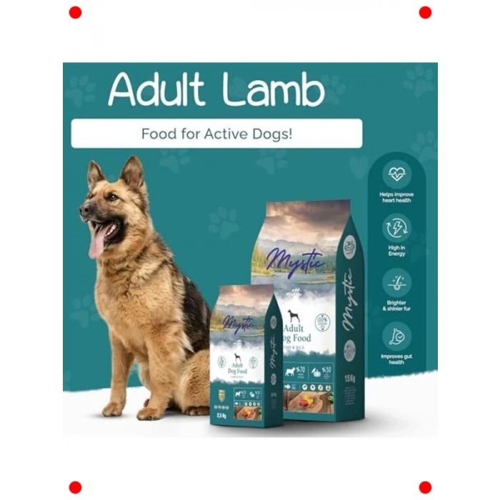 Az Tahıllı Kuzu Etli Yetişkin Köpek Maması 15 KG