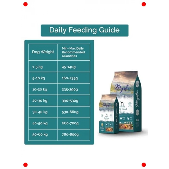 Az Tahıllı Kuzu Etli Yetişkin Köpek Maması 15 KG