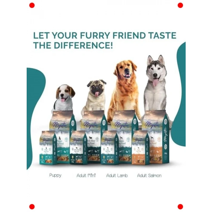 Az Tahıllı Kuzu Etli Yetişkin Köpek Maması 15 KG