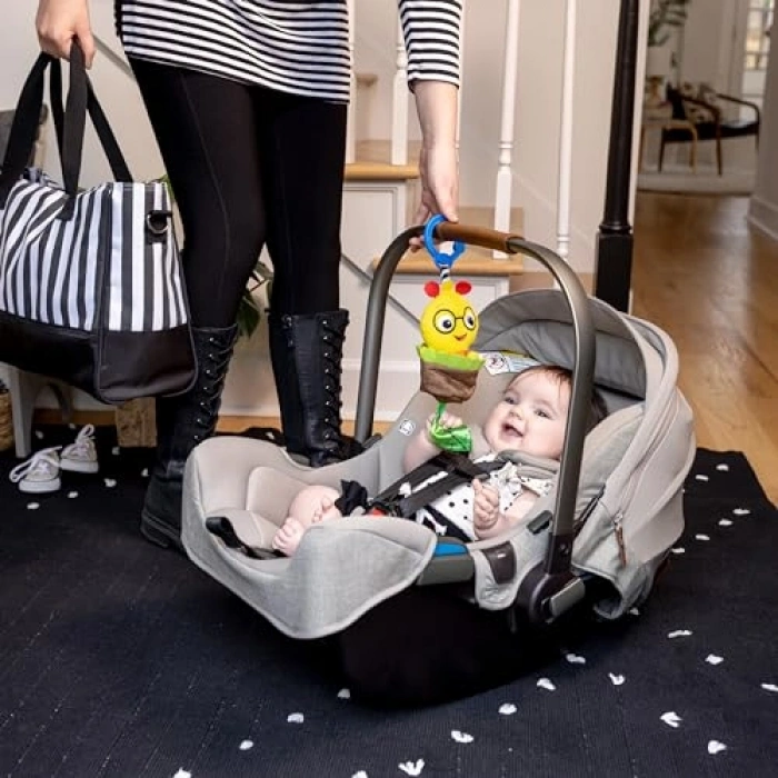 Baby Einstein Cal-a-Puller Pull & Shake Oyuncak, Yaş 0 Ay ve Üzeri