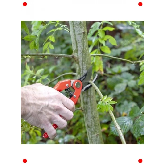 Bahçe Budama Makası - 220mm Uzunluk, 25mm Kesim