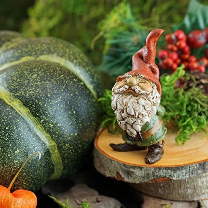 Bahçe Cücesi Temalı Mini Teraryum Heykeli