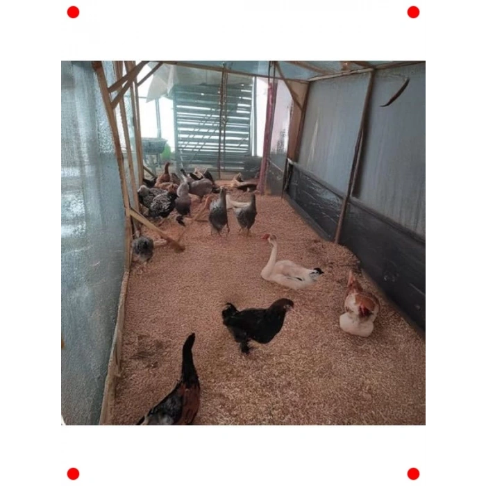 Bahçe ve Kümes Gölgeleme Filesi %40 Korumalı 1.5x2M