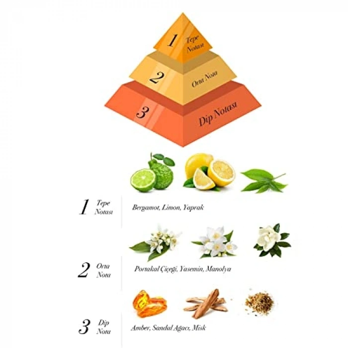 Bambu Çubuklu Oda Kokusu, 100 ml Ferahlatıcı Etki