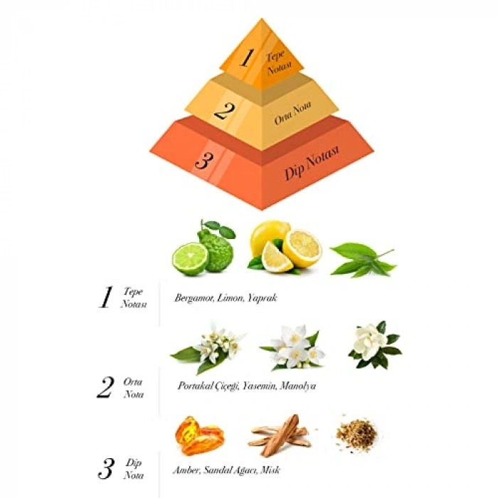 Bambu Çubuklu Oda Kokusu, Mango Aroması ile Ferahlatıcı Etki