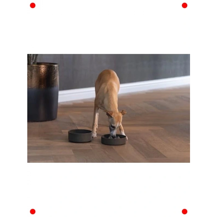 Bambu Standlı Yavaş Besleme Çift Köpek Mama Kabı