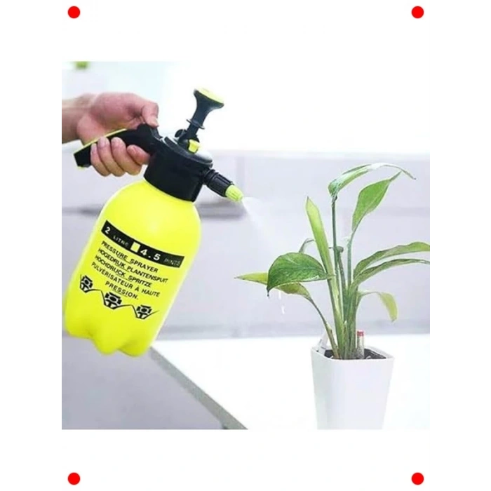 Basınçlı Sisleme Püskürtücü 2L, Dezenfeksiyon