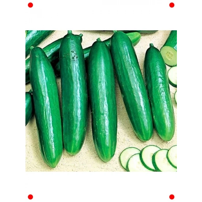 Beith Alpha Salatalık Tohumu (Çoklu Paket, 5 Gram)