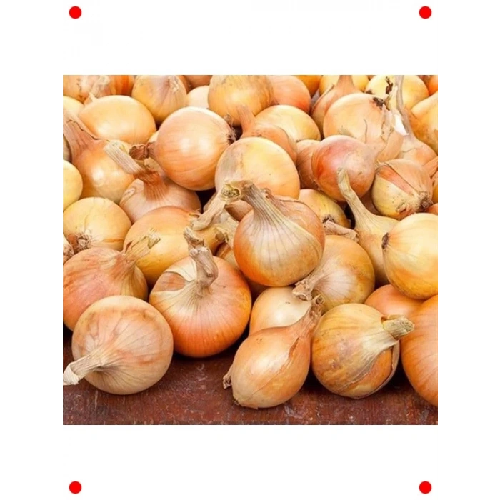 Beyaz Soğan Tohumu (5 gr) - Temel Mutfak Lezzeti