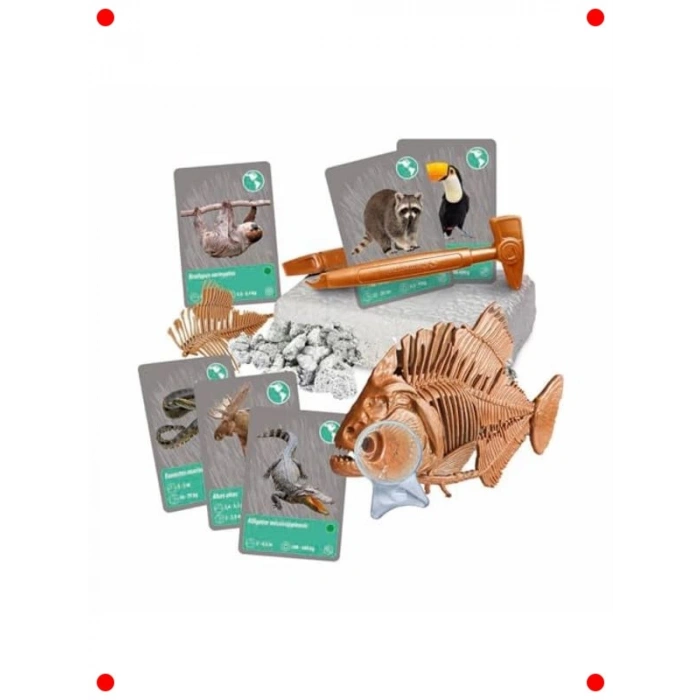 Bilim ve Oyun: Hayvanların Tarihi Keşif Seti