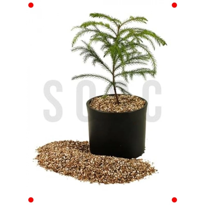 Bitki Toprağı İçin Vermikülit - 1 Litre