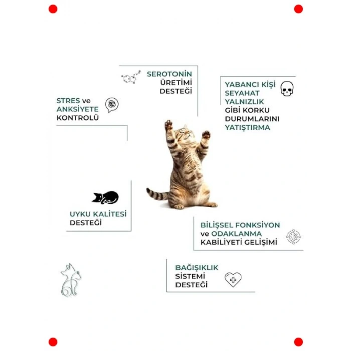 Bitkisel Kediler İçin Sakinleştirici Malt Macun 100 ml
