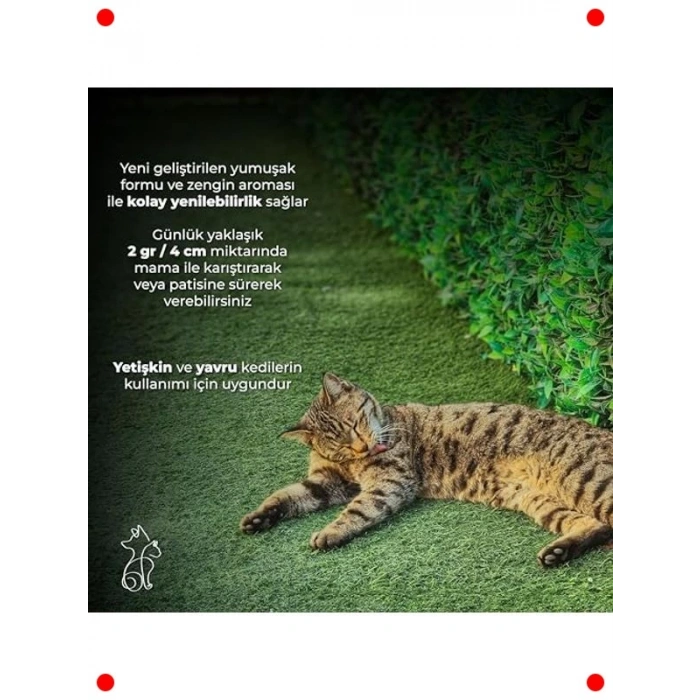 Bitkisel Kediler İçin Sakinleştirici Malt Macun 100 ml