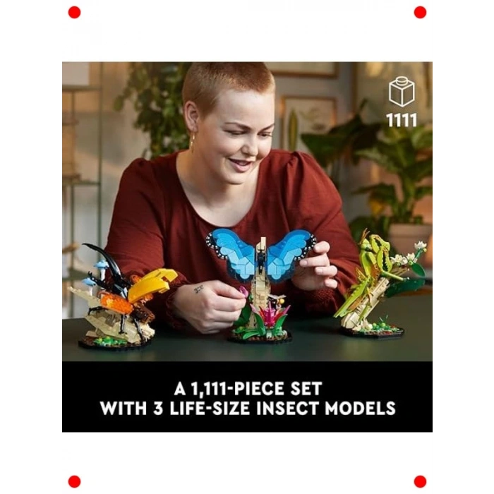 Böcek Koleksiyonu Temalı Yaratıcı Yapım Seti