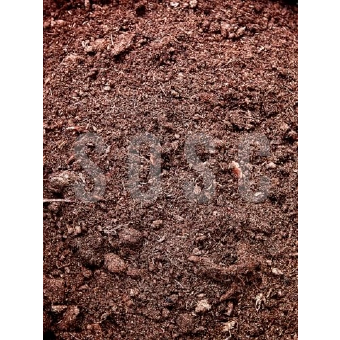 Böcek ve sinek yapmayan 1 litre sphagnum bitki torfu