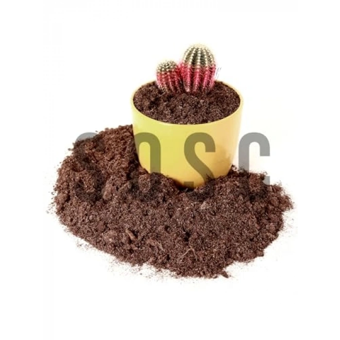 Böcek ve sinek yapmayan 1 litre sphagnum bitki torfu