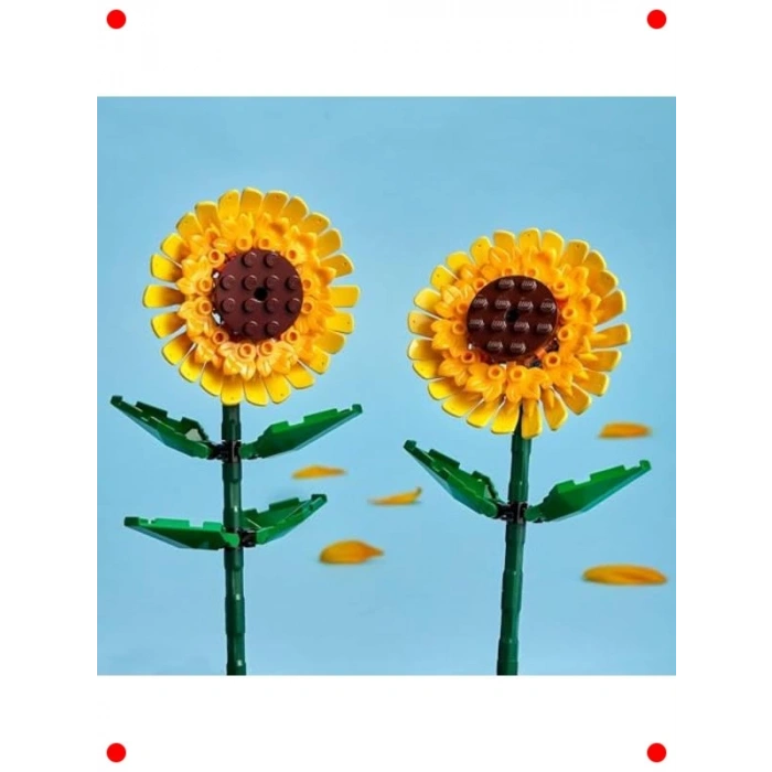 Botanik Ayçiçeği Modeli - Dekoratif Yapım Seti