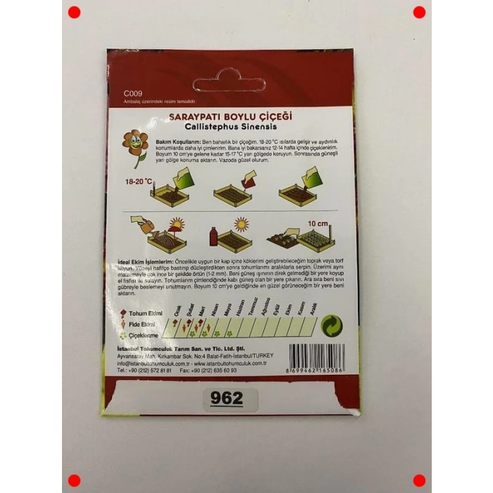 Boylu Saraypatı Karışık Renk Tohumları - 150 Adet