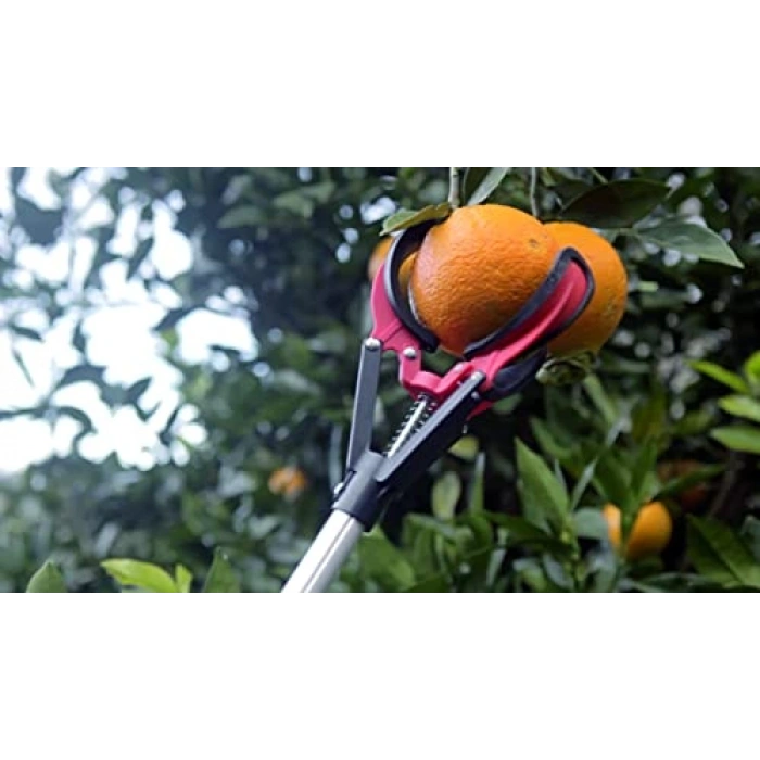 Budama testeresi, 30 cm uzunlukta, kılıflı plastik saplı