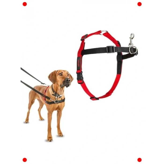 Büyük Köpekler İçin Önden Kontrollü Göğüs Tasması